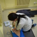 Завершилась очередная аккредитация врачей специалистов, прошедших профессиональную переподготовку